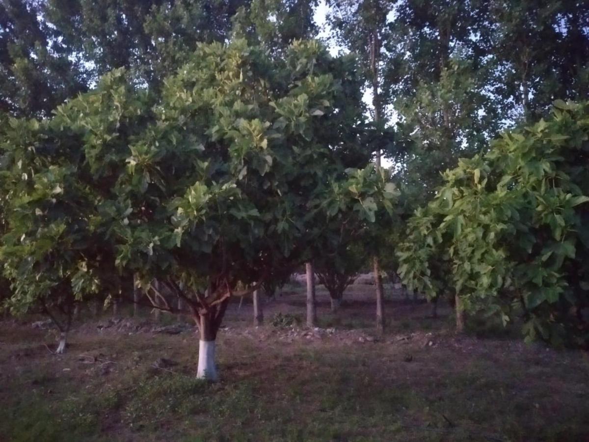 Finca La Julia Luyaba Ngoại thất bức ảnh