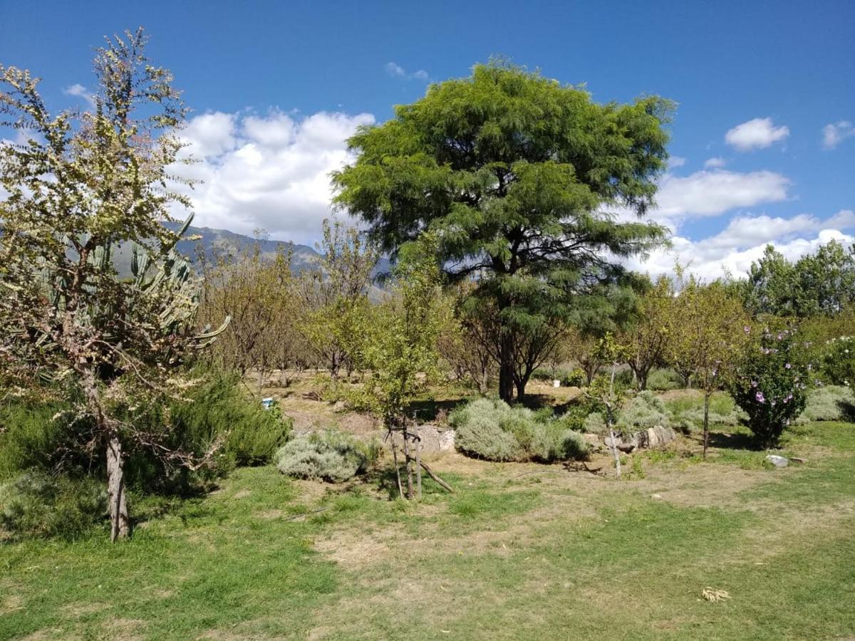 Finca La Julia Luyaba Ngoại thất bức ảnh