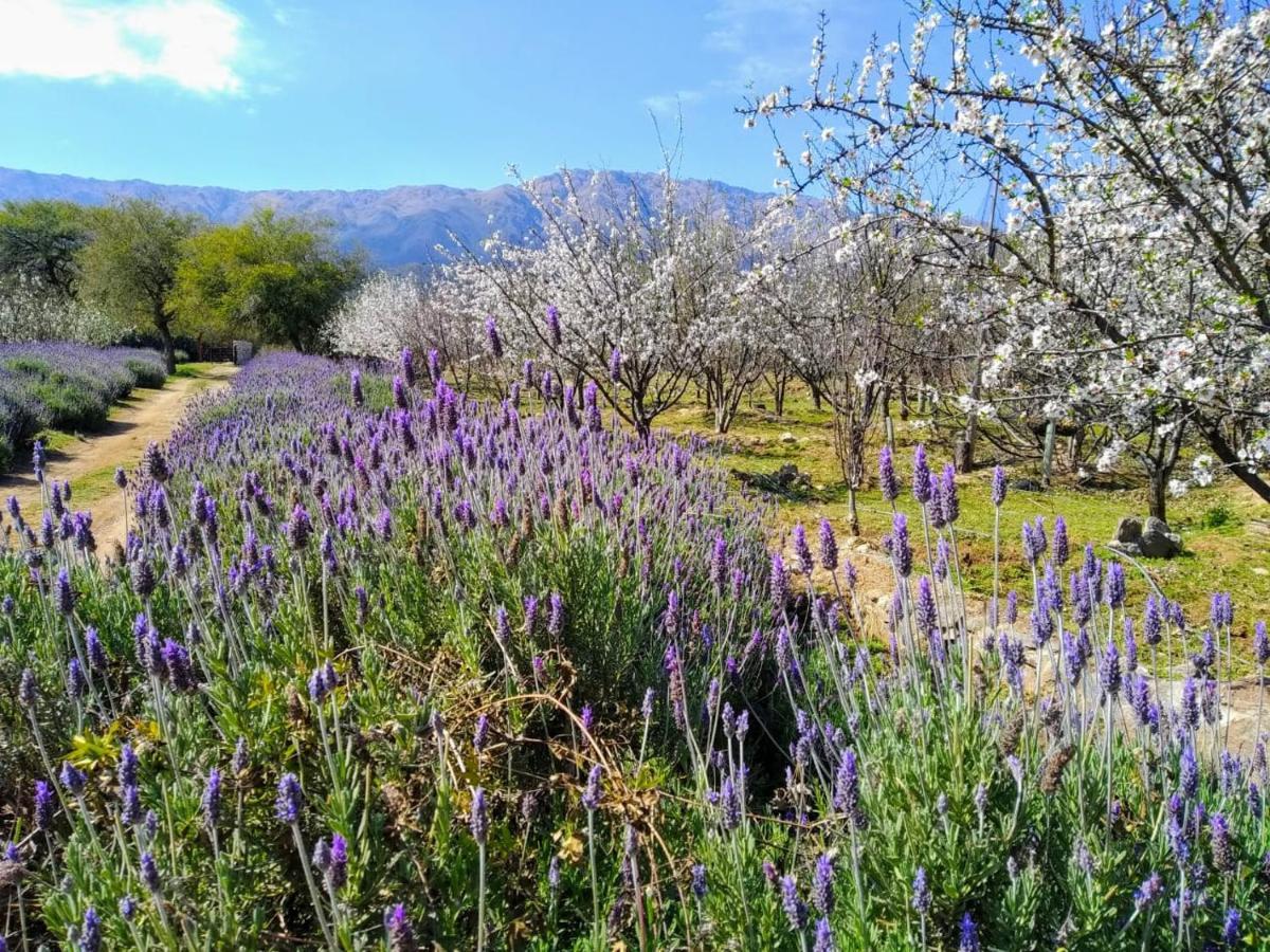 Finca La Julia Luyaba Ngoại thất bức ảnh