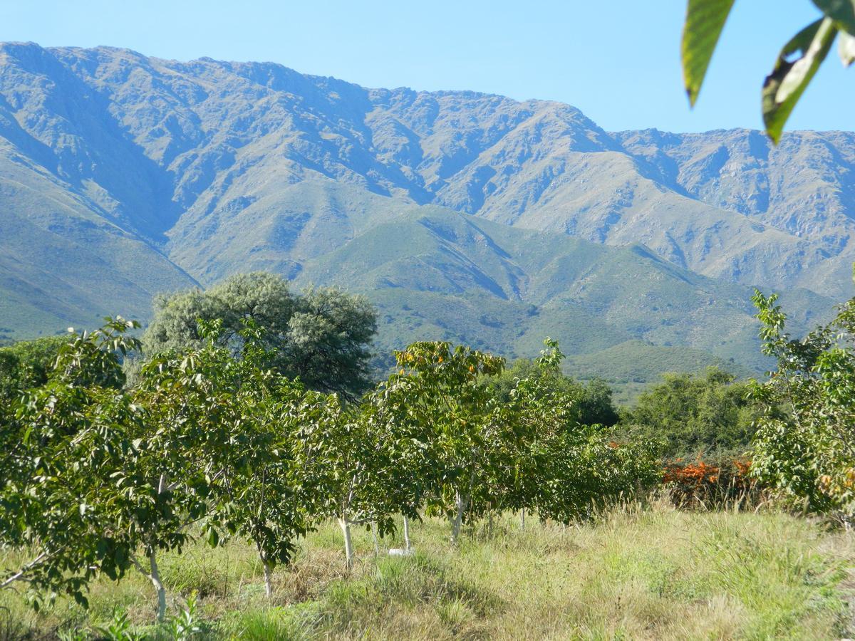 Finca La Julia Luyaba Ngoại thất bức ảnh